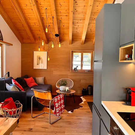Blue Alpine Fuer 6 Gaeste Sedrun